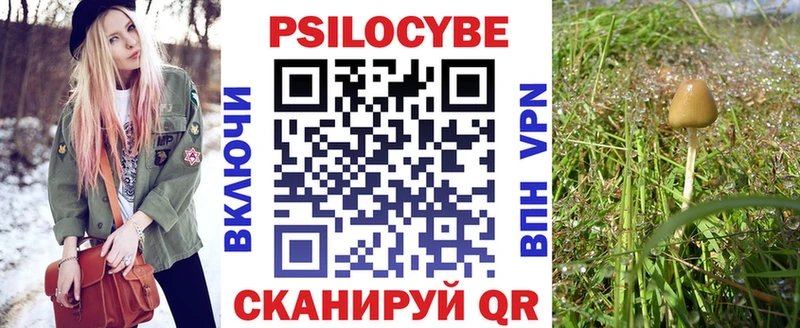 где купить наркотик  Островной  Галлюциногенные грибы MAGIC MUSHROOMS 